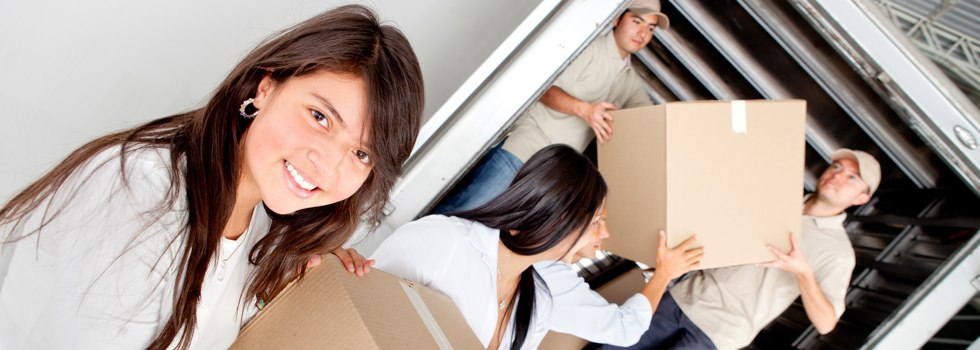 Professional Removalists Thrumster